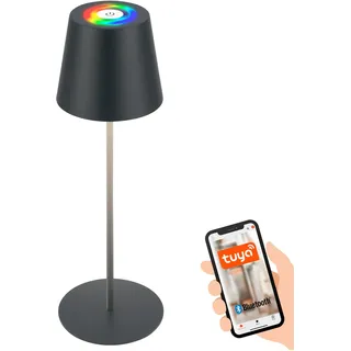 Briloner Tischleuchte Anthrazit