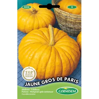 Germisem Kürbis JAUNE GROS DE PARIS, mehrfarbig, EC4008