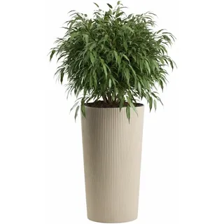 HowHomely Pflanzkübel Pflanzgefäß Übertopf Blumentopf beige 30x30x57 cm dekorativ geriffelt Jumper Struktur modern klassisch für Innen Außen