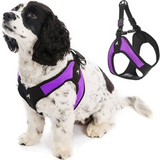 Gooby - Escape Free Easy Fit Harness, Small Dog Step-In Harness for Dogs That Like to Escape Their Harness, Purple, Large