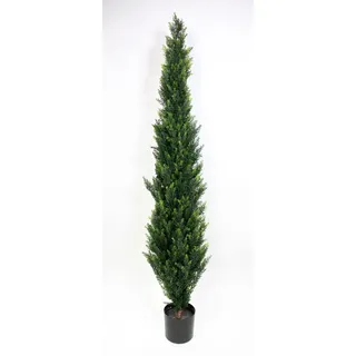 Seidenblumen Roß Zeder/Konifere Natura 180cm LA künstliche Pflanzen Kunstpflanzen Kunstbaum Thuja Zypresse