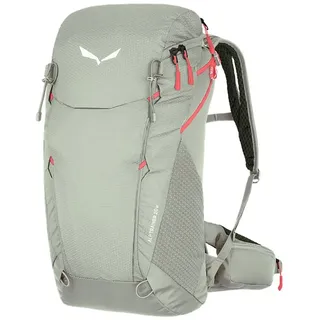 Salewa Alp Trainer 20 l grau