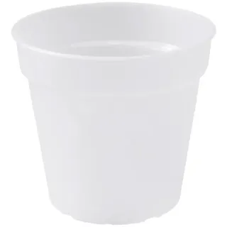elho green basics Orchidee 15cm - transparent - Transparent