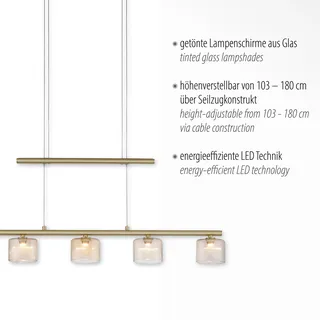 Paul Neuhaus LED-Pendelleuchte Hydra Alu, Eisen, Stahl & Metall Gold Messing