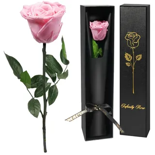 Yamonic Ewige Rose Geschenke für Frauen,Infinity Rose mit Stiel Geburtstagsgeschenk Frauen, Echte Rose in Geschenkbox Geschenke für Mama,Konservierte Blume Geschenk Valentinstag Weihnachten,Rosa Rose