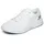 White 42