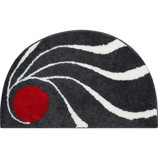 Colani 18 50 x 80 cm anthrazit