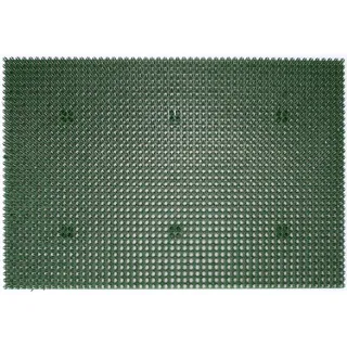 Astra Fußmatte Season 40 x 60 cm Grün