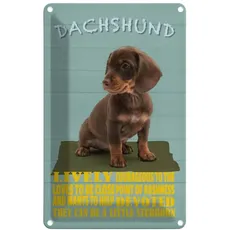 Blechschild 18x12 cm - Dachshund Hund lively devoted