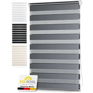 Sol Royal Doppelrollo Klemmfix ohne Bohren Fensterrollo Innen Duo Rollo | 100 cm breit 100x150 cm Grau Sicht & Sonnenschutz Rollos für Fenster für DL2