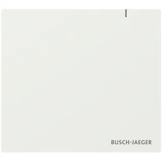 Busch-Jaeger 2CKA006200A0868