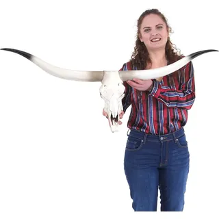 Deko Kuhschädel HWC-D32, Stierkopf Bulle Tierkopf Longhorn Trophäe, Polyresin 103x43x11cm - Beige