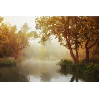 Papermoon »Photo-Art LEICHER OLIVER, NEBELIGER HERBST«, bunt,