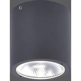 Paul Neuhaus LED Deckenlampe Außen Downlight IP54 warmweiß Eingang anthrazit Außenbereich, Innenbereich 9673-13 - Grau