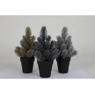 Deko Weihnachtsbaum im Topf h=23cm deko Tanne Weihnachten Tannenbaum Christbaum