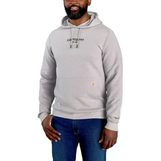CARHARTT Force Logo, Kapuzenpullover - Grau, (058) - L,