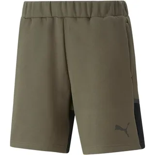 Puma Herren Teamcup Casuals Shorts Gestrickte, Grünmoos, M