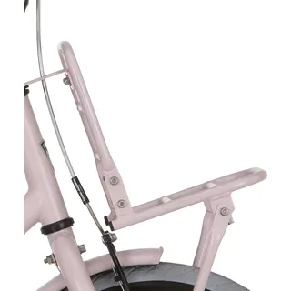 Unterstützung Avant Alpina 16 Cargo Perle Pink mit Matt - Rosa