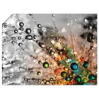 Artland Wandbild »Farbenfrohe Natur« Blumen 1 Stk. tlg. als Alubild, Leinwandbild, Poster in verschied. Größen, bunt