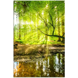 MuchoWow Poster Wald - Landschaft - Wasser - Bäume - Sonne - Grün - Natur 20x30 cm , Papier , Rechteckig , 20x30x0.1 cm , Bilder & Rahmen, Bilder, Sonstige Wandbilder