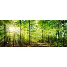 Bild Infrarotheizung Forest 800 W