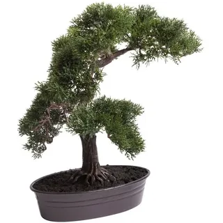Botanic-Haus Kunstbonsai »Cedern Bonsai grün