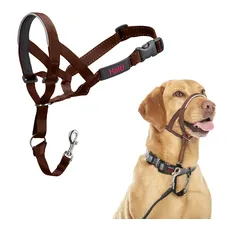 HALTI Kopfgeschirr - Verhindert, dass Ihr Hund an der Leine zieht, Einfache Anpassung, Leicht, mit gepolstertem Nasenriemen, Anti-Zug-Halsband für mittelgroße Hunde (Größe 3, Walnussbraun)