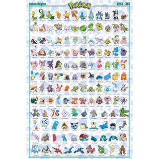 ABYstyle - POKEMON Poster Hoenn Pokemon English (91.5 x 61cm) - Plakat