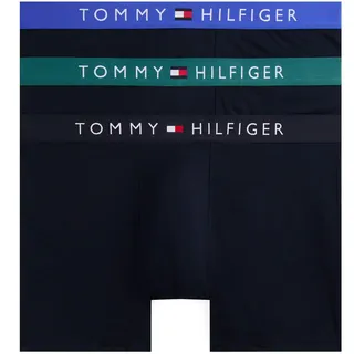 Boxer "3P BOXER BRIEF WB", Herren, Gr. XL (54), blau (d sky, fmy ocn, nob blu), Jersey, Obermaterial: 95% Baumwolle, 5% Elasthan, TOMMY HILFIGER UNDERWEAR, körpernah, Unterhosen Boxer