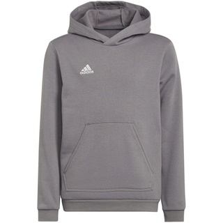 Adidas Entrada 22 Sweat, Hoodie Kinder