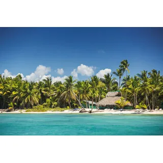 Papermoon »PALMEN-NATUR DSCHUNGEL PALME BÄUME MEER BAUM LANDSCHAFT«, bunt,