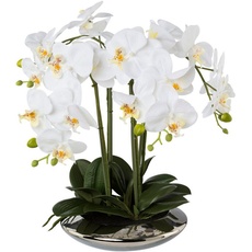 Bild Kunstorchidee »Deko-Orchidee Phalaenopsis in Keramikschale«, weiß