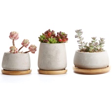 T4U Zement Sukkulenten Töpfchen mit Untersetzer Rund 3er-Set, Beton Mini Blumentopf für Kaktus Miniaturpflanzen