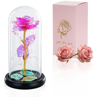 Glasseam Schöne Und Das Biest Rose mit LED-Lichter, Ewige Rose im Glas