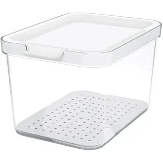 Rotho Frischhaltedose transparent 2,15 l
