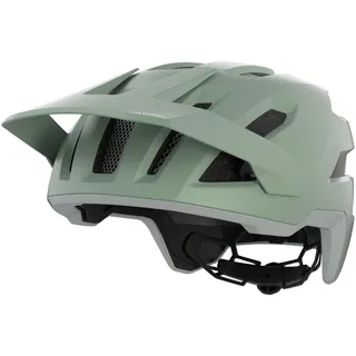 Alpina Taunus MIPS 52-56 cm willow-green matt 2025