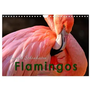 Flamingos - elegante Schönheiten (Wandkalender 2026 DIN A4 quer), CALVENDO Monatskalender: Eindrucksvolle Bilder der beeindruckenden Tiere. (CALVENDO Tiere)