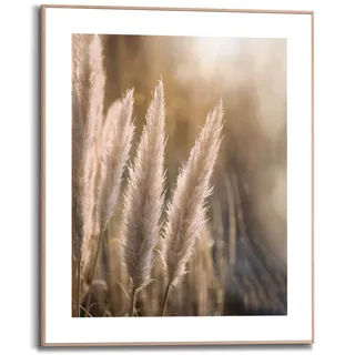Kunstdruck REINDERS "Pampas", beige (farbe bild(er): beige), B:40cm H:50cm T:1,6cm, MDF, Bilder, Kunstdruck
