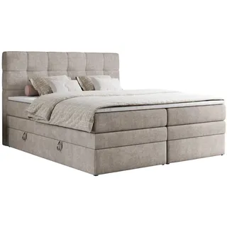 MKS Meble Boxspringbett, Polsterbett, Bett, Schlafzimmer, - ERNI-KING - 180 x 200 cm - Beige - H4 - Beige