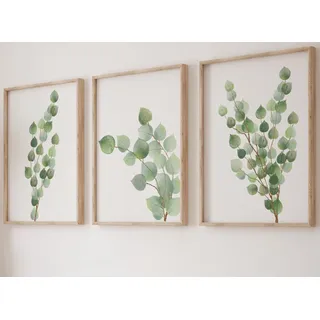 Eviepops Prints Poster Set, Poster Wohnzimmer, Botanische Bilder, A3 | Eukalyptus Wanddeko, 3 ungerahmte Drucke, grüne Wandkunst, für Wohnzimmer und Schlafzimmer