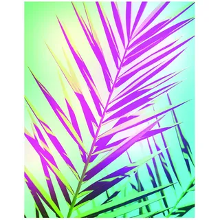 KOMAR Wandbild Shine 40 x 50 cm
