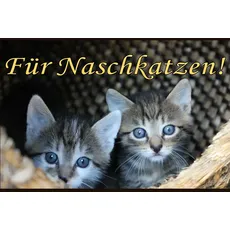 "Für Naschkatzen" Ganze Kürbiskerne Feine weiße Schokolade - Geburtstag, Valentinstag, Muttertag