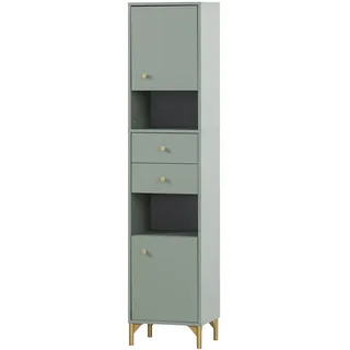 Schildmeyer Ando Hochschrank 40,3 x 33 x 181,6 cm Pistazie/Gold Holz