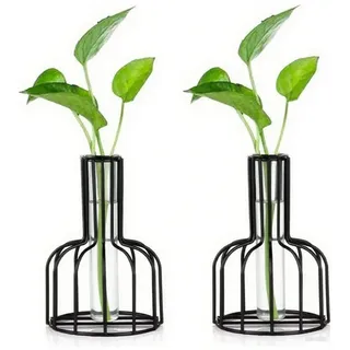 2 Stück Schwarze Blumenvase mit Metallrahmen, Klares Glas, Pflanzen Reagenzglas für Wohnzimmer Hochzeit Tisch Badezimmer Esstisch Herzstück Für Die Hochzeit