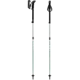 Leki Makalu FX TA 100-120 cm Silber/Grün/Weiß