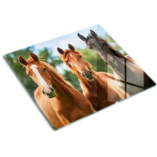 Tulup Glasplatte 60x52 cm Drei Pferde , Glas , 60x52 cm , Küchenzubehör, Schneidebretter