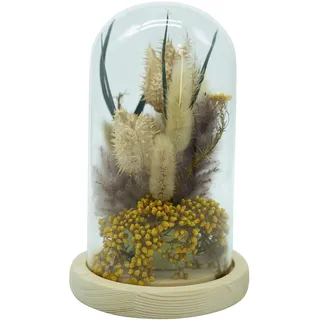 HEITMANN DECO Trockenblumen in Glasglocke, Natur/gelb, ca. 12,5x12,5x20 cm