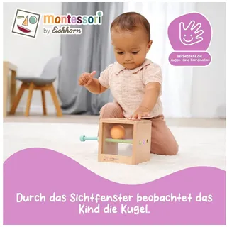 Eichhorn Montessori Box mit Kugeln