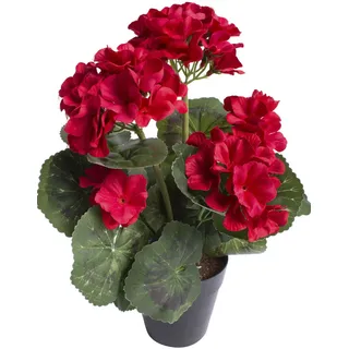 Botanic-Haus "Geranienbusch mit 6 Blütenköpfen", rot,