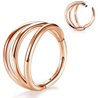 Longbeauty 16G Knorpel Ohrring Nasenringe Hoop 316L Edelstahl Clicker Hinged Segmentring Septum Helix Daith Tragus Piercing Ring, Rosegold, 10mm